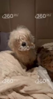 Иллюстрация 3