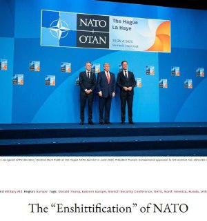 Зависимость Европы от США назвали «дерьмофикацией»