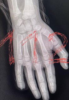 Иллюстрация 3