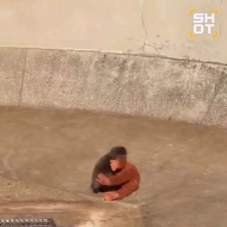 Обезьянка нашла друга и утешение в плюшевой игрушке