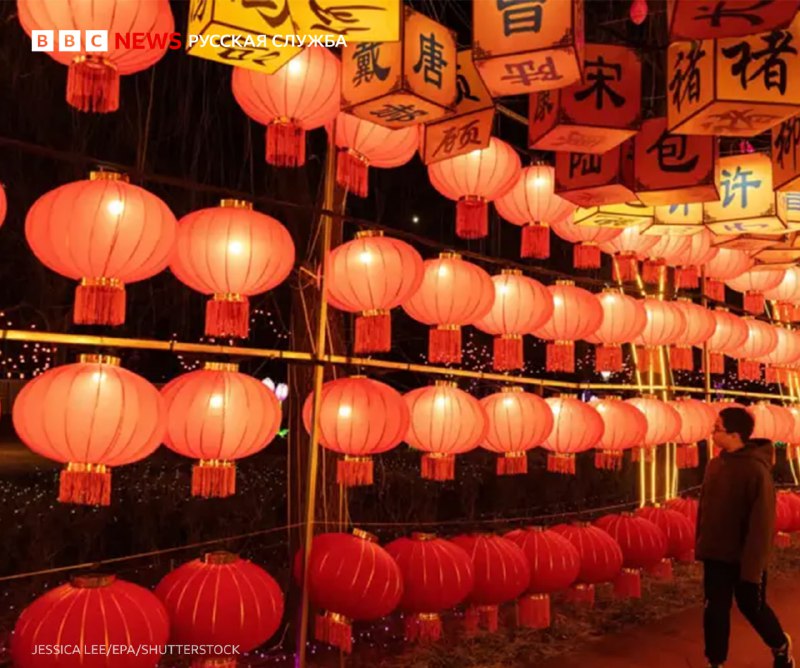 Иллюстрация 5