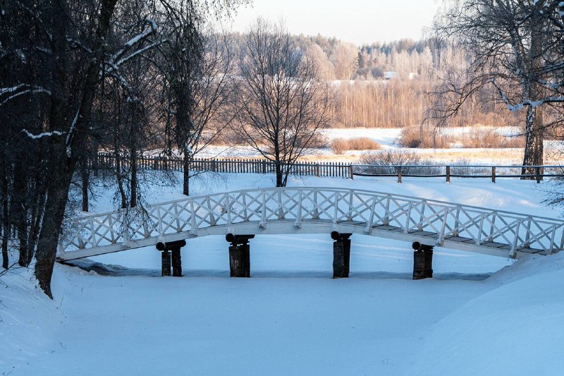 Солнечная тишина в Михайловском