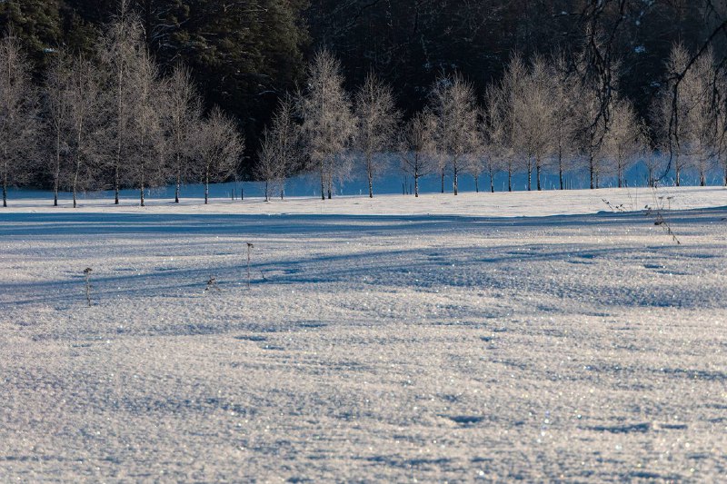 Иллюстрация 4