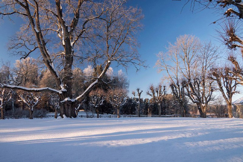 Иллюстрация 6