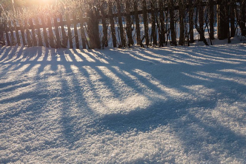 Иллюстрация 7