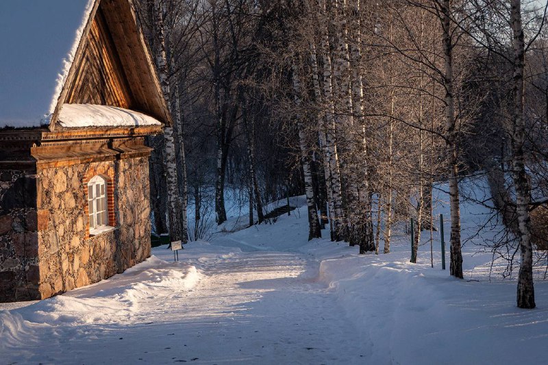 Иллюстрация 8