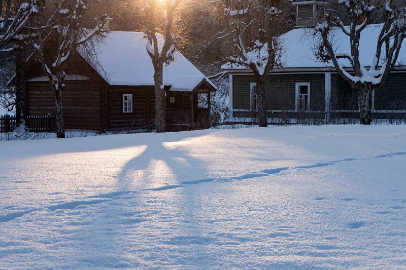 Иллюстрация 1