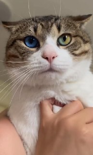 Иллюстрация 5