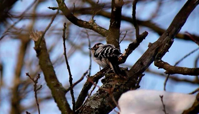 Иллюстрация 3