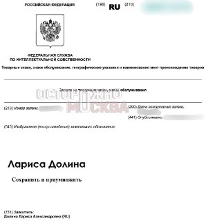 Попытка регистрации агентства недвижимости от имени Ларисы Долиной