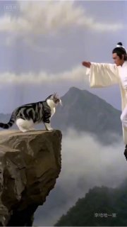 Юмористический пост с отсылкой к популярным интернет-мемам