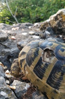 Иллюстрация 2