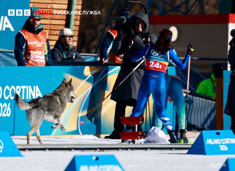 Иллюстрация 1