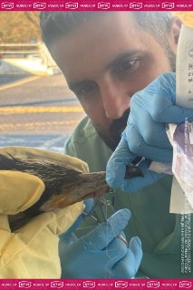 Иллюстрация 2