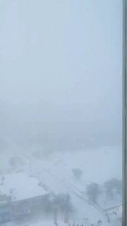 Иллюстрация 5