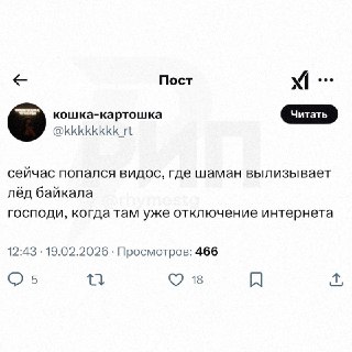 Иллюстрация 7