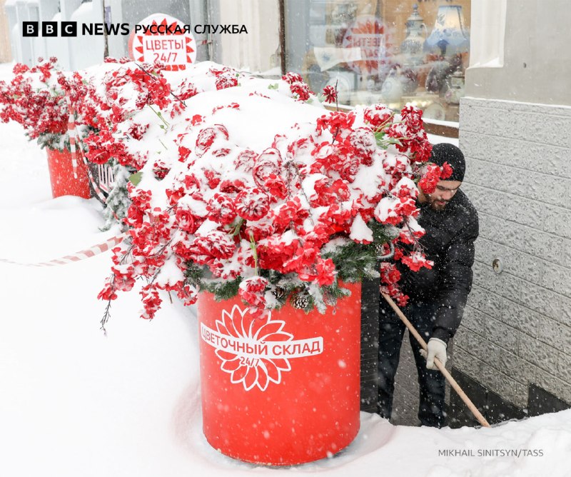 Иллюстрация 7