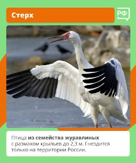 Иллюстрация 2