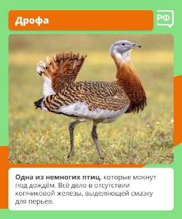 Иллюстрация 4