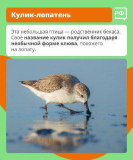 Иллюстрация 5