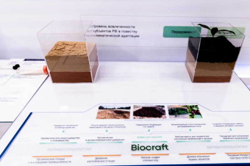 Иллюстрация 2