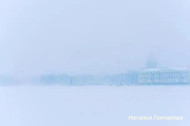 Бесплатные музеи в Петербурге 23 февраля