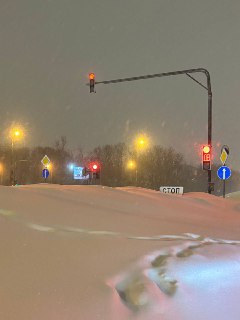 Сильный снегопад в Москве