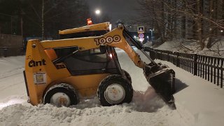 Иллюстрация 1