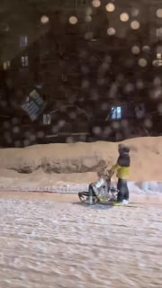 Москвичи перешли на собачьи упряжки из-за снегопада