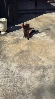 Иллюстрация 2