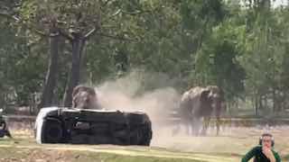 Слон устроил погром в Таиланде