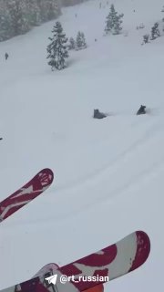 Иллюстрация 1