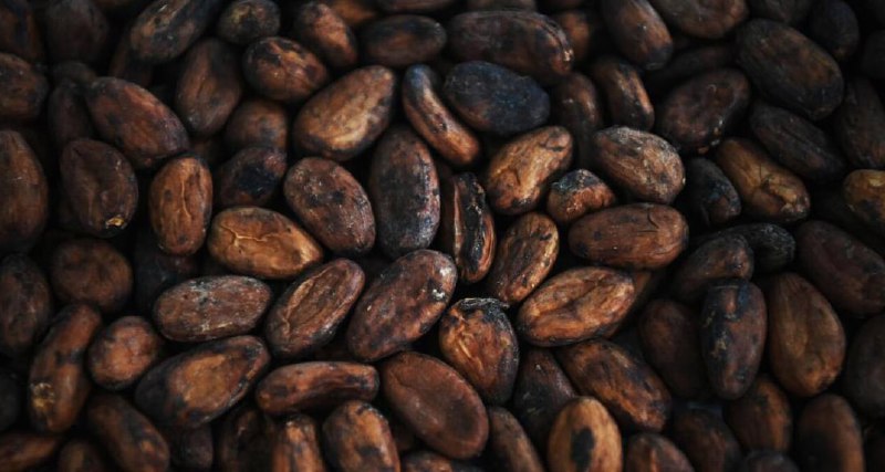 Шоколад может подешеветь