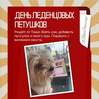 Конкурс сладостей от "Фонтанки"