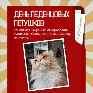 Иллюстрация 2