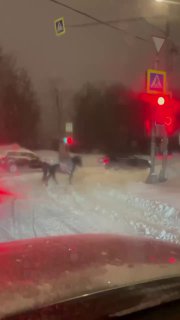 Москвичи освоили новый вид транспорта