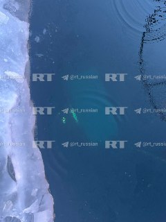 Иллюстрация 2