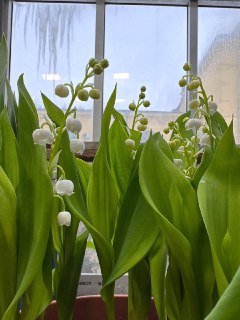 Иллюстрация 3