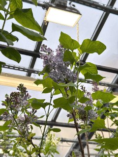 Иллюстрация 5