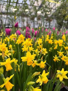 Иллюстрация 6