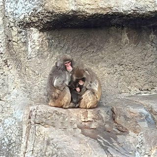 Иллюстрация 2