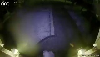 Иллюстрация 2