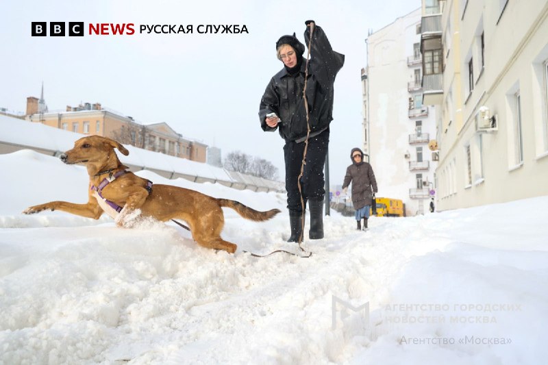 Иллюстрация 6