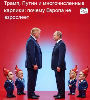 Критика европейских политиков