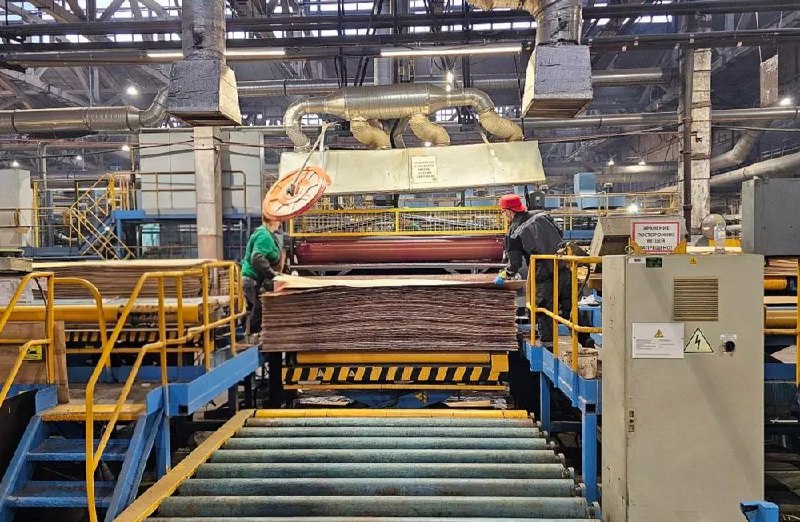 В Костроме запущен первый российский станок для сборки крупноформатной фанеры