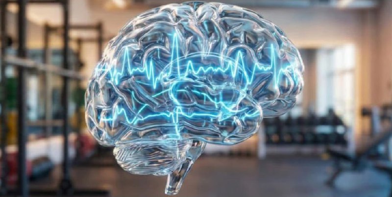 Спорт как средство от депрессии и выгорания