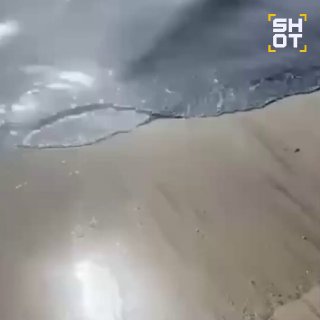 Иллюстрация 1