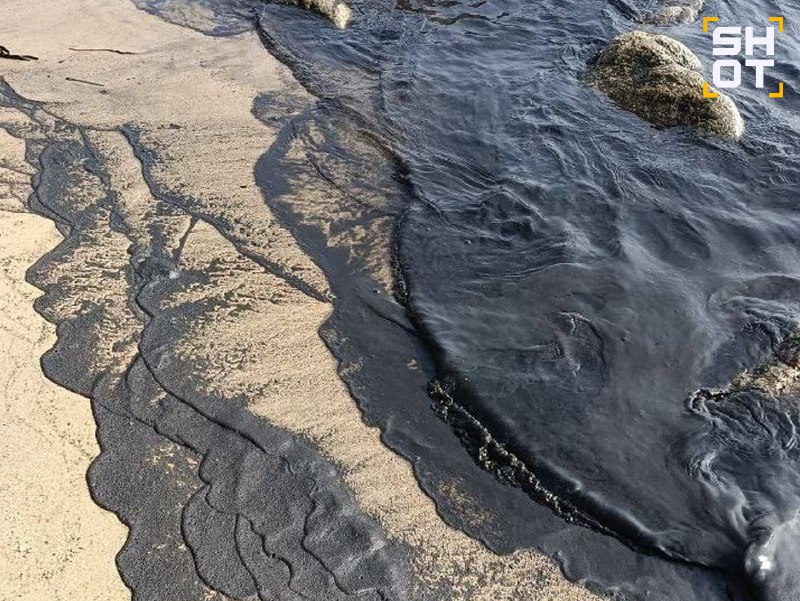 Иллюстрация 3