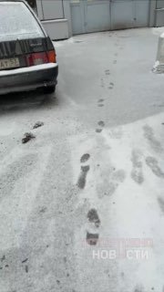 Иллюстрация 1