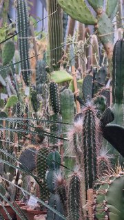 Иллюстрация 2